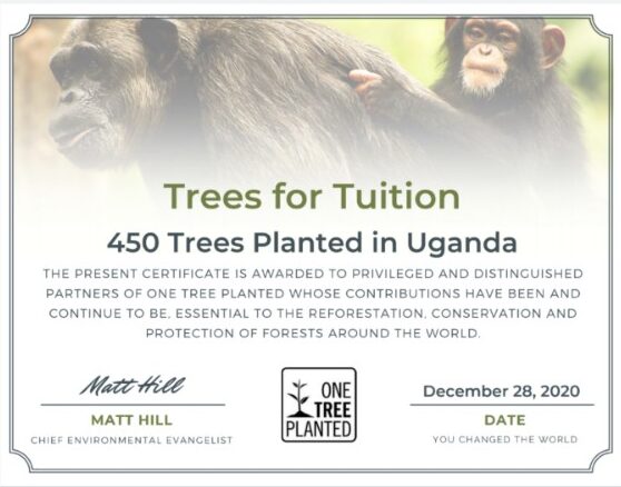 Trees for Tuition Planting Trees