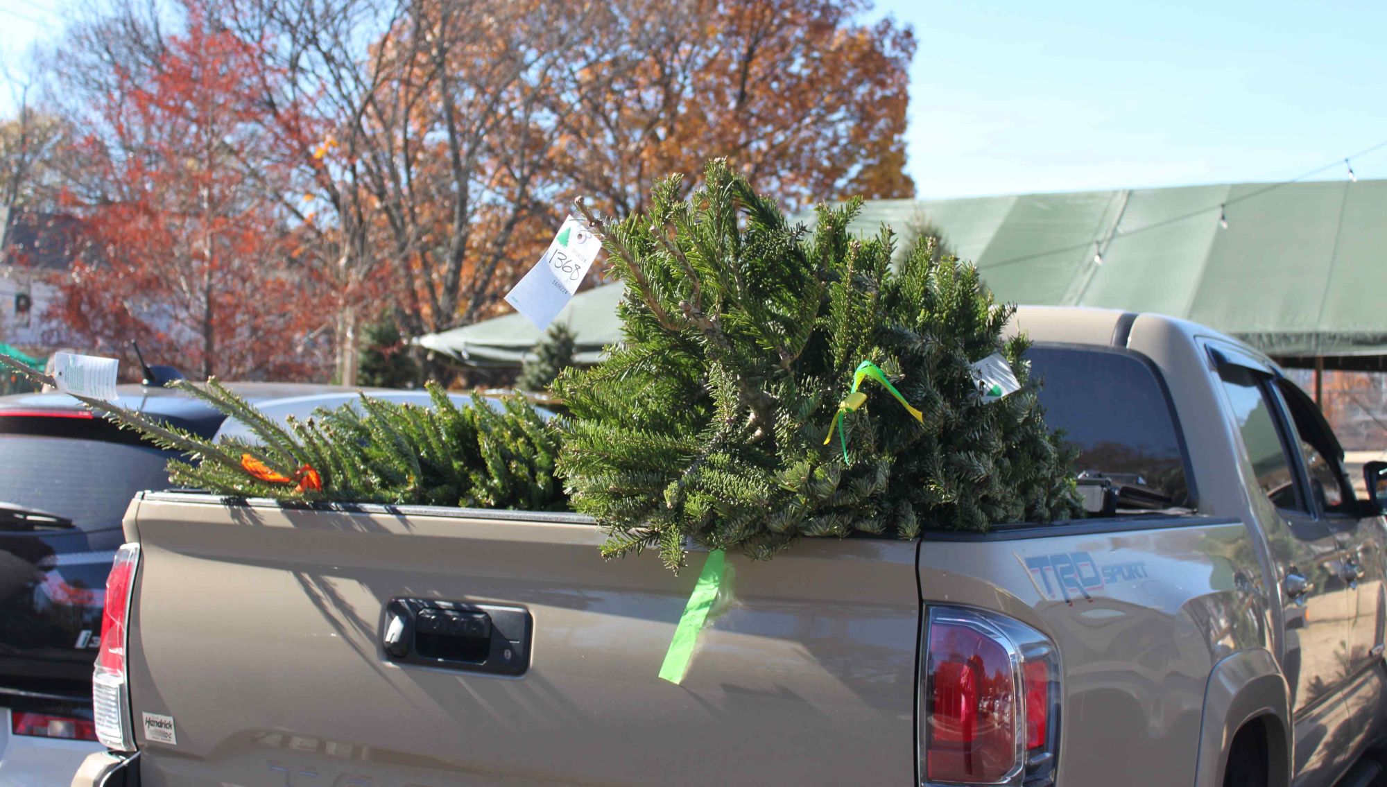 Delivering Christmas Trees