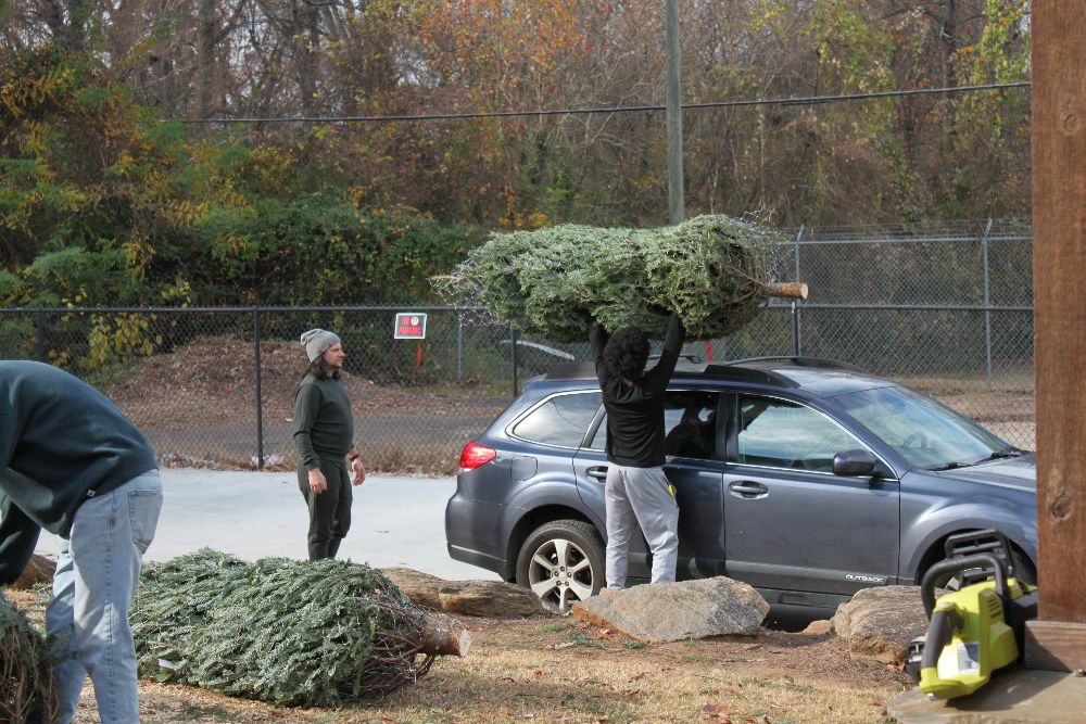 Loading Christmas Tree