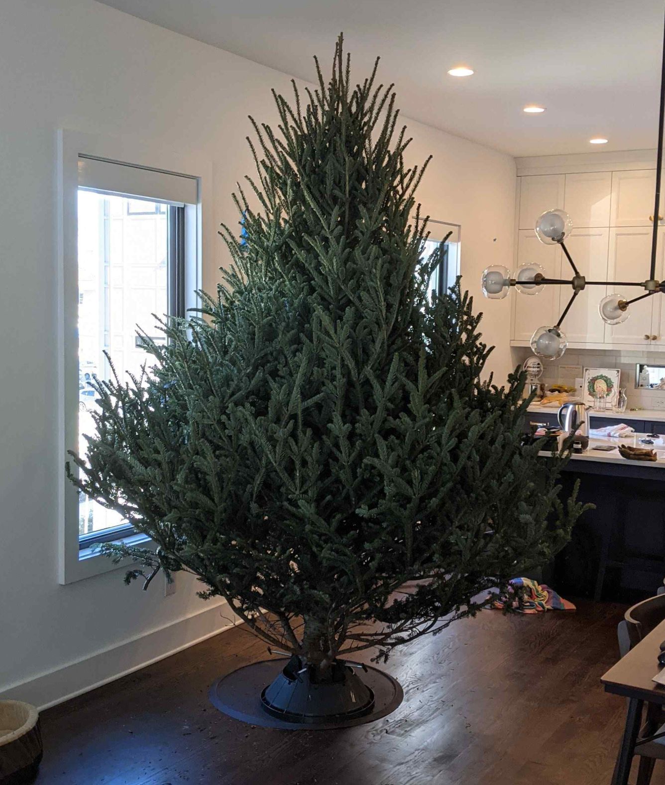 Christmas Tree Straightened