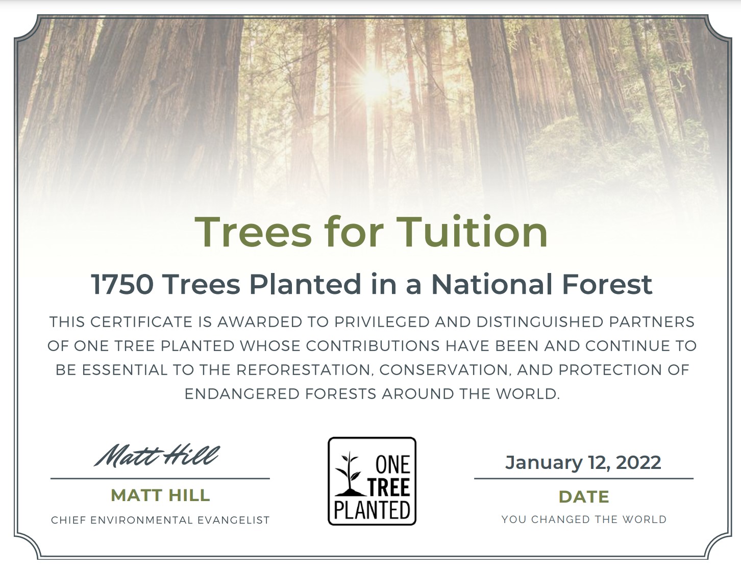 TFT planting Trees