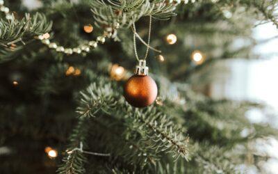 A Guide to a Green Holiday Decorating with Trees for Tuition