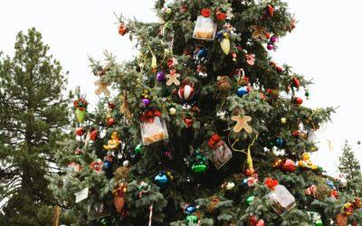 Involve Your Kids in Christmas Tree Shopping: How to Make It a Fun and Educational Family Tradition