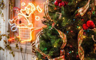 Sustainable Holidays: Trees for Tuition’s Commitment to Eco-Friendly Practices