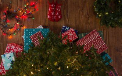 Making the Holidays Eco-Friendly: Tips on Sustainable Christmas Tree Disposal and Decorations