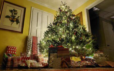 The Journey of a Trees for Tuition Christmas Tree: From Farm to Your Home and Beyond