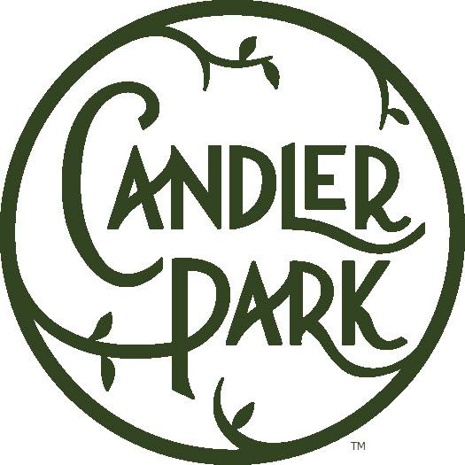  Candler Park Atlanta Christmas Trees 